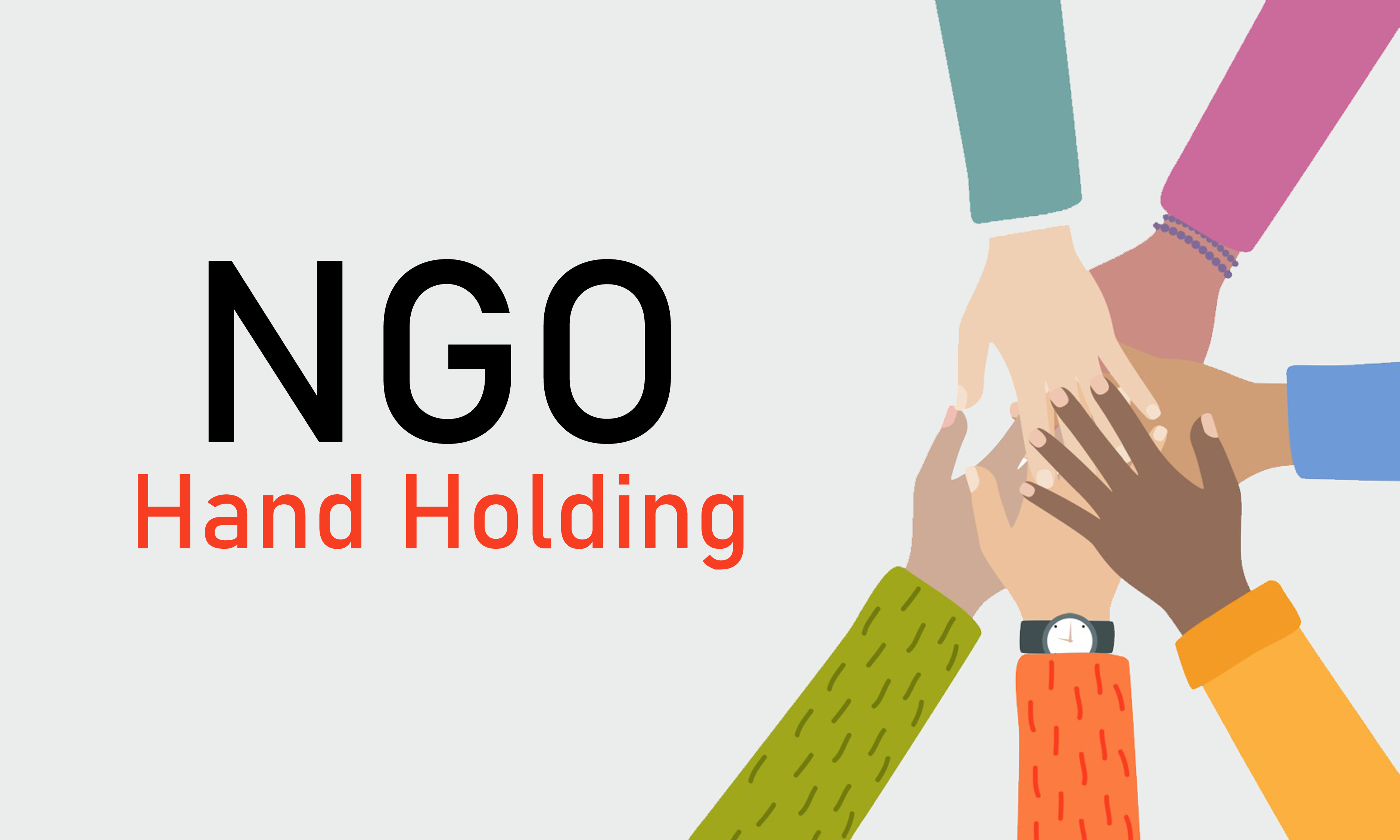 ngo-handholding
